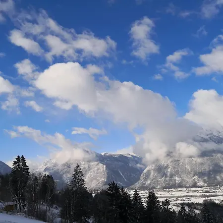 Fitzlhof 아파트 *