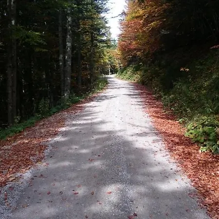 Fitzlhof * Sankt Koloman