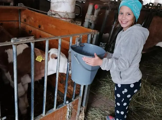 Daire Fitzlhof Sankt Koloman