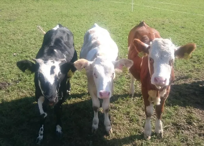 Fitzlhof Sankt Koloman